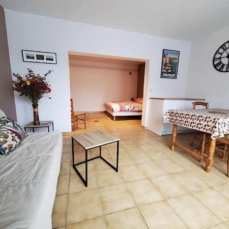 Studio Au Pied Du Chateau De Castelnaud 외부 사진